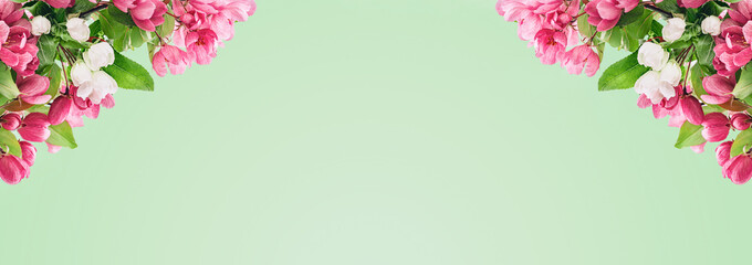 Spring blossom, branches of magenta blossoming red cherry full frame. Pink sakura or fruit tree viva flowers, copy space garden border banner.