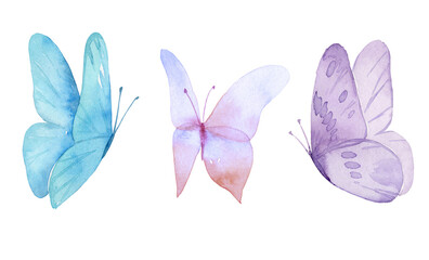 Set of the blue butterflies in pastel colors isolated on white background. Watercolor. Illustration. Blue, yellow, pink and ivory butterfly spring illustration - 576380877