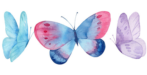 Blue butterfly in pastel colors isolated on white background. Watercolor. Illustration.  - 576380892