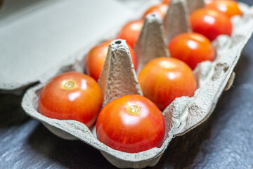 Fresh tomatoes in a carton egg viewed diagonally