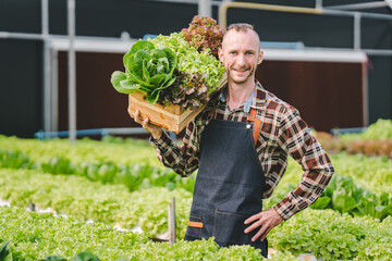 Hydroponic vegetable garden owner Caucasians are harvesting fresh organic salads. in the greenhouse vegetable garden Check the quality of vegetables and record the growth of hydroponic vegetables.