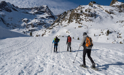Fototapeta na wymiar group of mountaineers doing a route with snowshoes in winter on a sunny day in the pyrenees