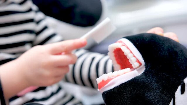 little girl 4-6 years old brushing her teeth soft toy jaw demonstration children proper brushing of teeth Zebra and girl instriped blouse white and black child care education study pediatric dentistry