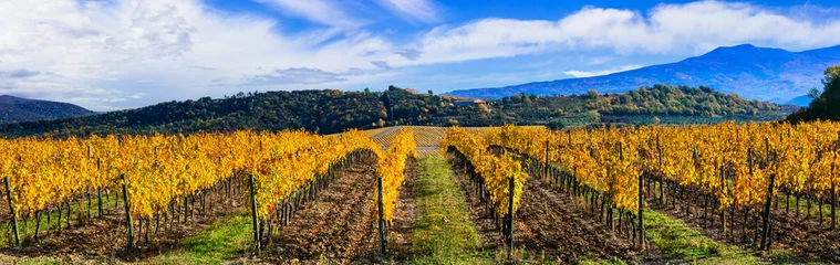 Poster Italy. Tuscany scenic nature landscape. panoramic view of countryside with hills of vineyards in autumn colors © Freesurf