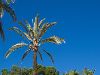 Die Stadt Barcelona am Mittelmeer
