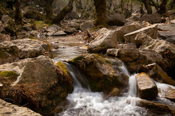 Waterfall in the forest surrounded by trees covered with moss