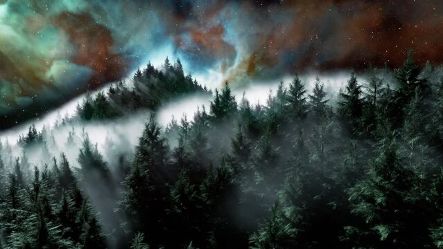 3d render Animation of a Foggy forest in the night with starry sky and nebula, Aerial view
