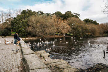 View from afar of people feeding ducks in Porto park lake, Portugal