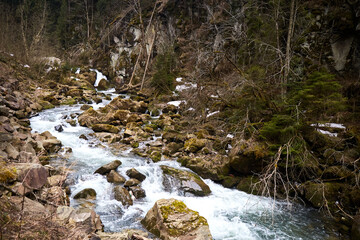 mountain river. narrow rocks and forming cascades. Rural area of ukrainian village in mountains. Early spring in Carpathian Mountains.