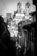 Cathedral, view of an alley and facade of houses in black and white. Porto, Portugal