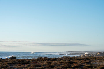 landscape photograph of the sea of the West coast of South Africa in the morning light