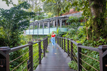 Fototapeta premium Woman in dress walking on wooden bridge among green tropical forest