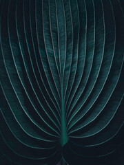 Macro abstract view of an exotic, tropical jungle style Hosta leaf, dark moody nature aesthetic...