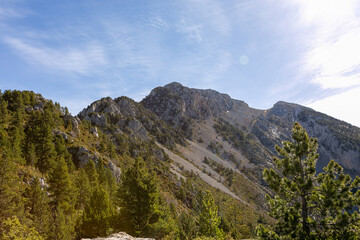 Fototapeta na wymiar Paisaje de una montaña y un bosque con el cielo azul