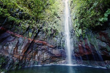 The Risco waterfall in Raba&ccedil;al in Madeira during the spring. The springs of the Risco waterfall flowing down the rock overgrown with greenery. 25 Fontes, Madeira, Portugal.