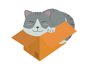 Smiling Cat in the Cardboard or Box Illustration