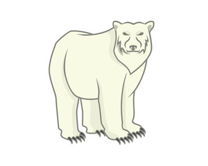 Polar Bear with Standing and Staring Gesture Illustration