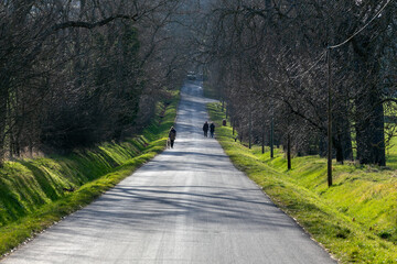 Carretera con gente paseando por la tarde en un día soleado