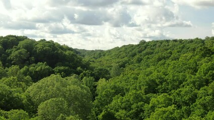 Aerial revealing over tree tops of green forest canopy in Hocking Hills in southeast Ohio