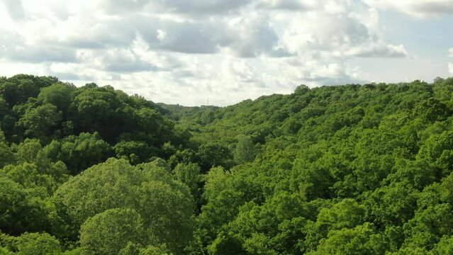 Aerial revealing over tree tops of green forest canopy in Hocking Hills in southeast Ohio