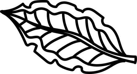 Obraz premium Natural, line art design element with black thin line. PNG with transparent background