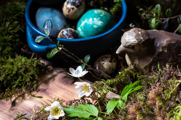 Blossom of windflower (anemone) in background of colored Easter eggs in blue dish, branches with buds, moss and wooden bird on wooden background, Easter eggs, Easter table decoration