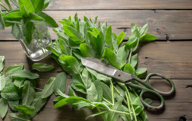 On the wooden table there are many branches of peppermint and scissors with a jar to make a...
