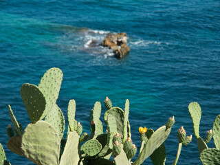 Die Insel Korsika