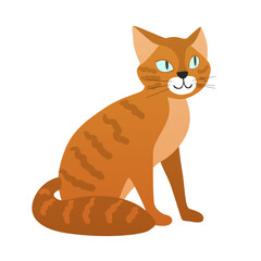 Ginger domestic cat. Fluffy house pet, breed cat, mammal feline vector cartoon illustration