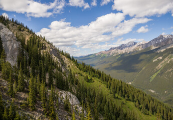 A natural slope on which wild sheep rest in the distance. Mountain wild life