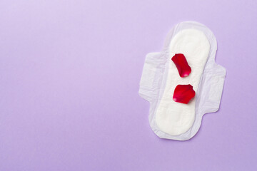 Menstrual pad with red petals on color background, top view