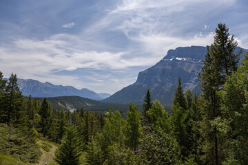 Natural landscape - Bow River Valley, Rocky Mountains, coniferous forest and beautiful sky with clouds. Summer tourism in the mountains