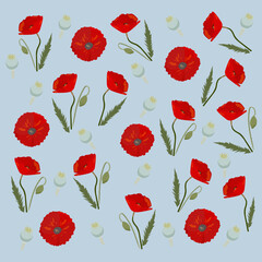 Pattern Poppies flowers in blue background for textil, gift paper, box 