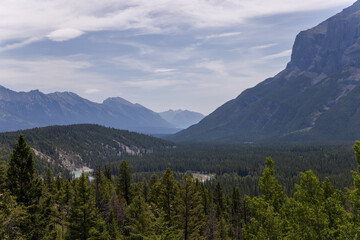 Obraz premium Natural landscape - Bow River Valley, Rocky Mountains, coniferous forest and beautiful sky with clouds. Summer tourism in the mountains
