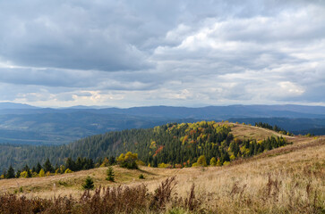 Beautiful autumn landscape with yellow and red trees, high mountains and cloudy sky. Carpathian Mountains, Ukraine