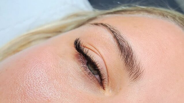 close up of eyelash extensions in beauty salon macro eye.