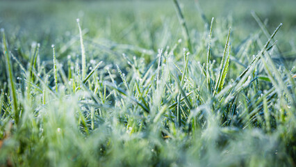 Eine gefrorene Wiese im Winter.