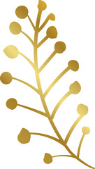 Transparent Gold Floral Illustration