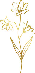 Transparent Gold Floral Illustration