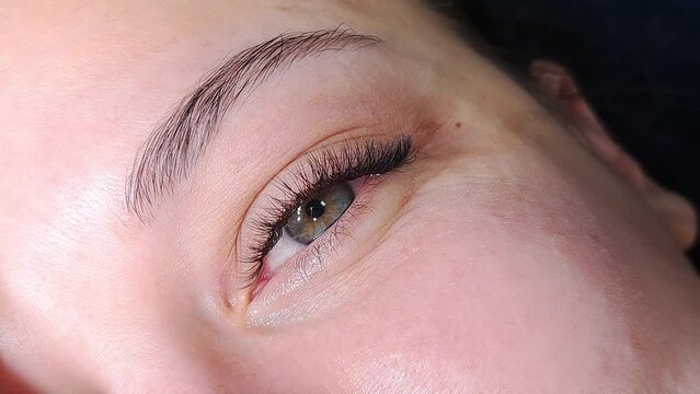 close up of eyelash extensions in beauty salon macro eye.