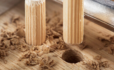 Two wooden dowel for fastening oak plank. Timber industry.