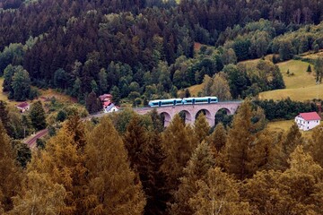 Fototapeta na wymiar A train on the viaduct in the forest near Smrzovka, Czech republic