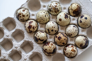 Spotted quail eggs in an egg box on a light background, natural eco-friendly products.