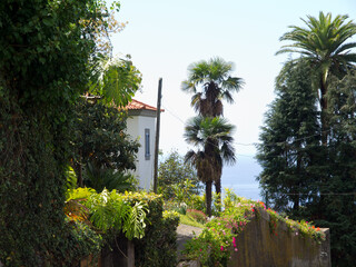 Funchal un die Insel Madeira