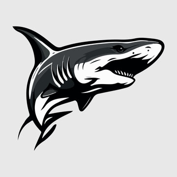 Shark mascot esport logo vector illustration with isolated background
