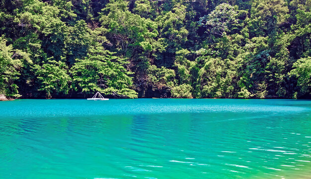 Secluded lonely caribbean tropical colorful blue turquoise lagoon, green forest - Port Antonio, Jamaica