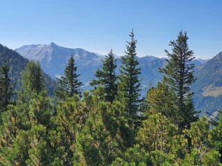 Austrian landscape: mountains, hills and green trees