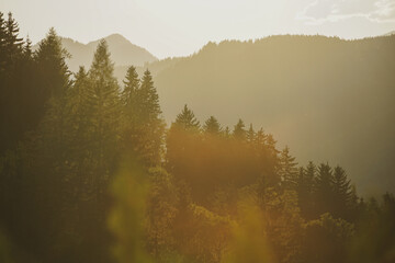 Fototapeta premium Beautiful sunset in the mountains and forest