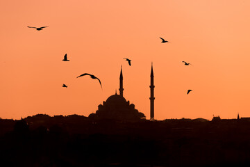 Estambul y las gaviotas