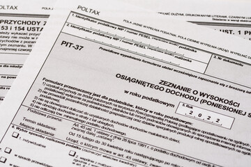 Rozliczenie rocznych dochodów podatnika - obrazy, fototapety, plakaty